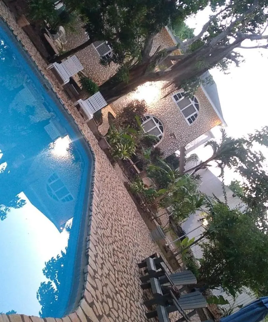 Ella Villa Apartments Negril 0*,